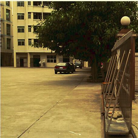 ףضݸXXӳһͨBSCI֤
